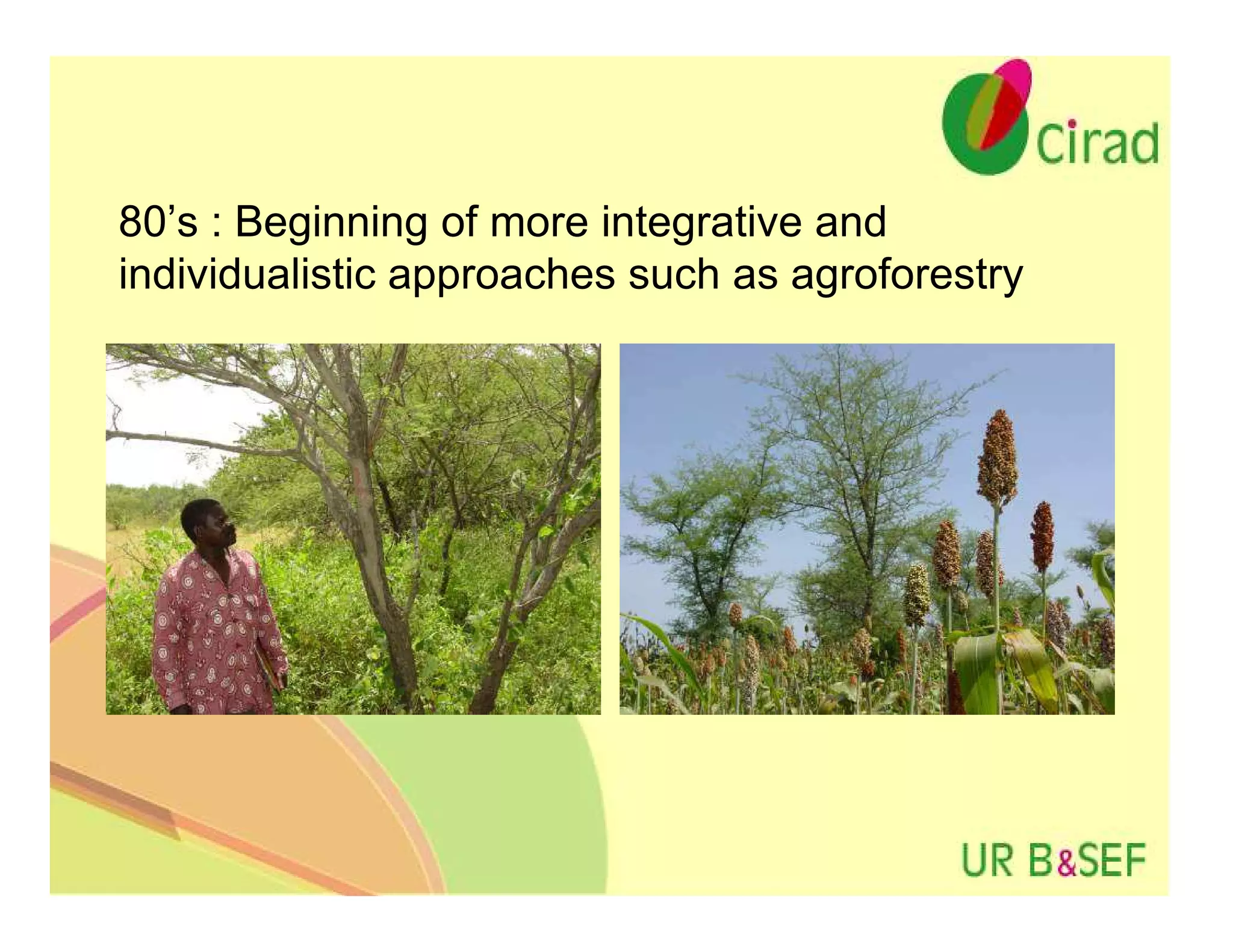 80’s : Beginning of more integrative and
individualistic approaches such as agroforestry
 
