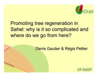 Promoting tree regeneration in
Sahel: why is it so complicated and
where do we go from here?

           Denis Gautier & Régis Peltier
 