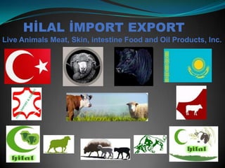 HİLAL İMPORT EXPORT
Live Animals Meat, Skin, intestine Food and Oil Products, Inc.

 