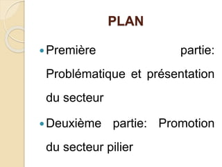 PLAN 
Première partie: 
Problématique et présentation 
du secteur 
Deuxième partie: Promotion 
du secteur pilier 
 