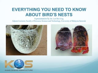 EVERYTHING YOU NEED TO KNOW
ABOUT BIRD’S NESTS
A presentation by Dr. Leh Moi Ung,
Adjunct Lecturer, Faculty of Resource Science and Technology, University of Malaysia Sarawak
 