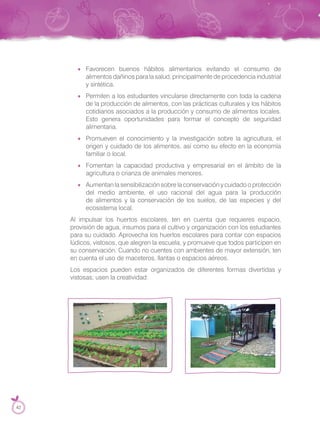 Favorecen buenos hábitos alimentarios evitando el consumo de
alimentos dañinos para la salud, principalmente de procedencia industrial
y sintética.
Permiten a los estudiantes vincularse directamente con toda la cadena
de la producción de alimentos, con las prácticas culturales y los hábitos
cotidianos asociados a la producción y consumo de alimentos locales.
Esto genera oportunidades para formar el concepto de seguridad
alimentaria.
Promueven el conocimiento y la investigación sobre la agricultura, el
origen y cuidado de los alimentos, así como su efecto en la economía
familiar o local.
Fomentan la capacidad productiva y empresarial en el ámbito de la
agricultura o crianza de animales menores.
Aumentan la sensibilización sobre la conservación y cuidado o protección
del medio ambiente, el uso racional del agua para la producción
de alimentos y la conservación de los suelos, de las especies y del
ecosistema local.
Al impulsar los huertos escolares, ten en cuenta que requieres espacio,
provisión de agua, insumos para el cultivo y organización con los estudiantes
para su cuidado. Aprovecha los huertos escolares para contar con espacios
lúdicos, vistosos, que alegren la escuela, y promueve que todos participen en
su conservación. Cuando no cuentes con ambientes de mayor extensión, ten
en cuenta el uso de maceteros, llantas o espacios aéreos.
Los espacios pueden estar organizados de diferentes formas divertidas y
vistosas; usen la creatividad:
42
 