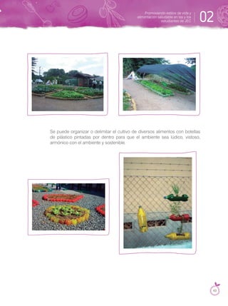 Se puede organizar o delimitar el cultivo de diversos alimentos con botellas
de plástico pintadas por dentro para que el ambiente sea lúdico, vistoso,
armónico con el ambiente y sostenible.
Promoviendo estilos de vida y
alimentación saludable en las y los
estudiantes de JEC 02
43
 