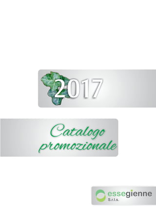 2017
Catalogo
promozionale
 