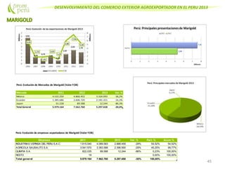 DESENVOLVIMIENTO DEL COMERCIO EXTERIOR AGROEXPORTADOR EN EL PERU 2013
45
Perú: Evolución de Mercados de Marigold (Valor FOB)
Mercado 2011 2012 2013 Var. %
México 4.532.250 4.866.452 3.104.093 -36,2%
Ecuador 1.385.686 2.606.720 2.181.321 -16,3%
Japon 61.228 89.588 12.244 -86,3%
Total General 5.979.164 7.562.760 5.297.658 -30,0%
Perú: Evolución de empresas exportadoras de Marigold (Valor FOB)
Empresa 2011 2012 2013 Var. % Part. % Acum.%
INDUSTRIAS VEPINSA DEL PERU S.A.C. 1.615.540 4.089.583 2.888.459 -29% 54,52% 54,52%
AGRICOLA SAUSALITO S.A. 3.541.570 3.383.588 2.396.955 -29% 45,25% 99,77%
QUIMTIA S.A. 822.035 89.588 12.244 -86% 0,23% 100,00%
RESTO 19 0,00% 100,00%
Total general 5.979.164 7.562.760 5.297.658 -30% 100,00%
 