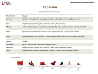 Agronegocios
Presentación - Variedades:
Presentación Incluyen
Conserva Piquillo, morrón, jalapeño, rojo, dulce, amarillo, panca, habanero, mirasol, banana, otros.
Seco Jalapeño, piquillo; rocoto, panca, mirasol, guindilla, dulce, rosado
Molido Morrón, guajillo; ají panca, amarillo, rocoto, jalapeño, cayena, tabasco, cherry, chipotle, tomatillo
Pasta Piquillo, tabasco, habanero, amarillo, rocoto, jalapeño, mirasol, cayena, criollo, morrón
Polvo Páprika, jalapeños, panca, guajillo, chipotle, amarillo, rocoto, piquillo, dulce, morrón, habanero
Resina Páprika
Congelado Morrón, jalapeño, amarillo, rocoto, habanero, panca
Salmuera Jalapeño, rocoto, amarillo, dulce, morrón, cayena, cherry, habanero, cerezo
Salsa Jalapeño, piquillo, amarillo, rocoto, panca, tabasco, cayena, criollo, charapita, chipotle
Desenvolvimiento Agroexportador 2015
Pimiento
Morrón
31%
Paprika entera
seca 24%
Pimiento piquillo
21%
Paprika molida
13%
Chile ancho
5%
Pasta de ají
(tabasco, cayena)
4%
Paprika en
trozos
2%
Participación:
 