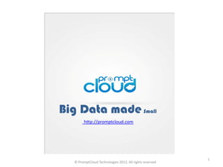 Big Data made Small
        http://promptcloud.com




                                                         1
  © PromptCloud Technologies 2012, All rights reserved
 