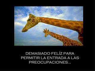 DEMASIADO FELÍZ PARA PERMITIR LA ENTRADA A LAS PREOCUPACIONES... 