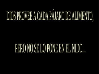 DIOS PROVEE A CADA PÁJARO DE ALIMENTO, PERO NO SE LO PONE EN EL NIDO... 