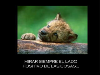 MIRAR SIEMPRE EL LADO POSITIVO DE LAS COSAS... 