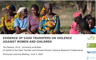 Tia Palermo, Ph.D., University at Buffalo
on behalf of the Cash Transfer and Intimate Partner Violence Research Collaborative
Promundo Learning Meeting: June 4, 2020
EVIDENCE OF CASH TRANSFERS ON VIOLENCE
AGAINST WOMEN AND CHILDREN
 