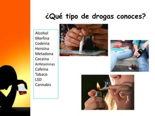 ¿Qué tipo de drogas conoces?
Alcohol
Morfina
Codeína
Heroína
Metadona
Cocaina
Anfetaminas
Cafeína
Tabaco
LSD
Cannabis
 