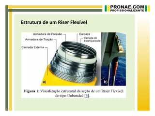 Estrutura de um Riser Flexível
 