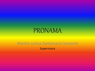 PRONAMA
Martha Julissa Santamaria Samamé
Supervisora
 