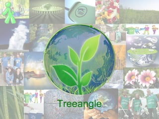 Treeangle 