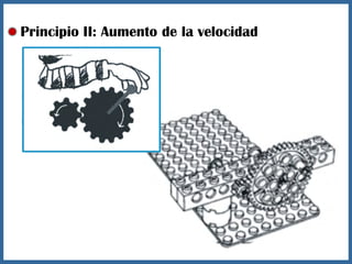 Principio II: Aumento de la velocidad
 