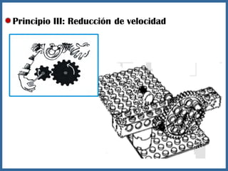 Principio III: Reducción de velocidad
 