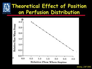 Theoretical Effect of Position on Perfusion Distribution Glenny, JAP 1991 Denver Health 