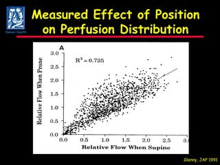 Measured Effect of Position on Perfusion Distribution Glenny, JAP 1991 Denver Health 
