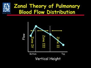 Zonal Theory of Pulmonary Blood Flow Distribution Flow Vertical Height Zone II Zone III Zone IV Top Bottom Denver Health 