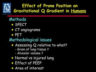 Effect of Prone Position on Gravitational Q Gradient in  Humans Methods  SPECT  CT angiograms  PET Methodological issues  Assessing Q relative to what? -  Gram of lung tissue ? -  Alveolar volume ?  Normal vs injured lung  Effect of PEEP  Area of interest Denver Health 