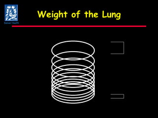 Weight of the Lung Denver Health 