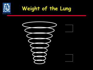 Weight of the Lung Denver Health 