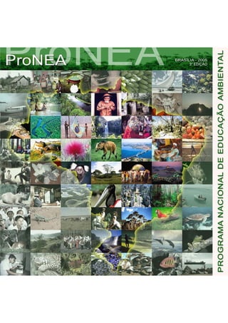 Pronea
