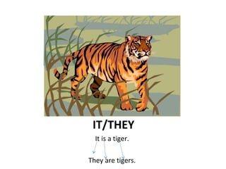 IT/THEY
It is a tiger.
They are tigers.
 