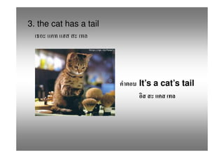 3. the cat has a tail




                        It’s a cat’s tail
 