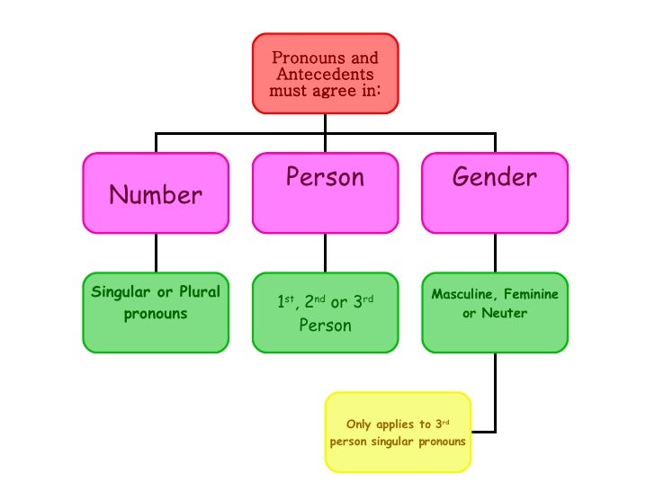 pronoun antecedent agreement