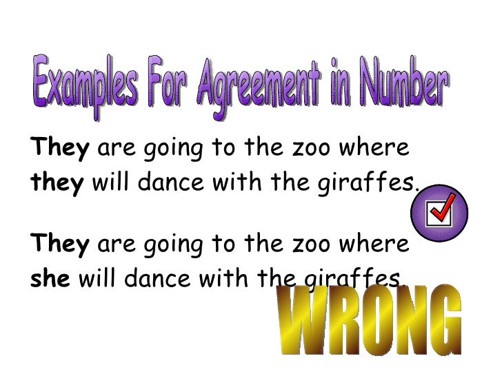 pronoun antecedent agreement