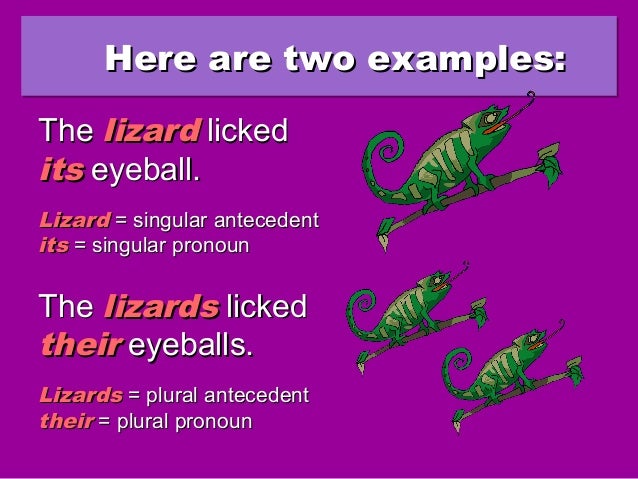pronoun antecedent agreement