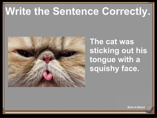 Write the Sentence Correctly. Back to Board The cat was sticking out his tongue with a squishy face. 