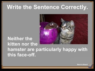 Write the Sentence Correctly. Back to Board Neither the  kitten nor the  hamster are particularly happy with this face-off. 