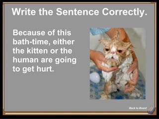 Write the Sentence Correctly. Back to Board Because of this bath-time, either the kitten or the human are going to get hurt. 