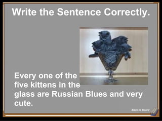 Write the Sentence Correctly. Back to Board Every one of the  five kittens in the  glass are Russian Blues and very cute. 