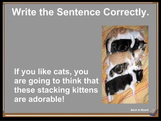 Write the Sentence Correctly. Back to Board If you like cats, you are going to think that these stacking kittens are adorable! 