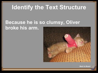 Identify the Text Structure Back to Board Because he is so clumsy, Oliver broke his arm. 