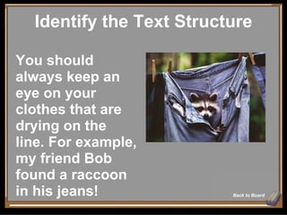 Identify the Text Structure Back to Board You should always keep an eye on your clothes that are drying on the line. For example, my friend Bob found a raccoon in his jeans! 