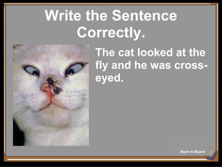 Write the Sentence Correctly. Back to Board The cat looked at the fly and he was cross-eyed. 