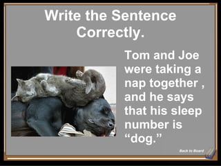 Write the Sentence Correctly. Back to Board Tom and Joe were taking a nap together , and he says that his sleep number is “dog.” 