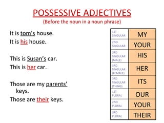 POSSESSIVE ADJECTIVES (Before the noun in a noun phrase) It is  tom’s  house. It is  his  house. This is  Susan’s  car. This is  her  car. Those are my  parents’  keys. Those are  their  keys. 3RD PLURAL 2ND PLURAL 1ST PLURAL 3RD SINGULAR (THING) 3RD SINGULAR (FEMALE) 3RD SINGULAR (MALE) 2ND SINGULAR 1ST SINGULAR THEIR YOUR OUR ITS HER HIS YOUR MY 