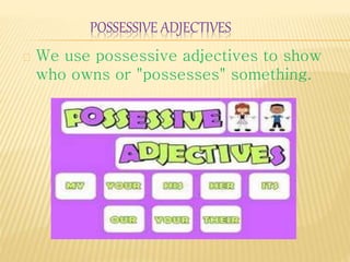 POSSESSIVE ADJECTIVES 
We use possessive adjectives to show 
who owns or "possesses" something. 
 