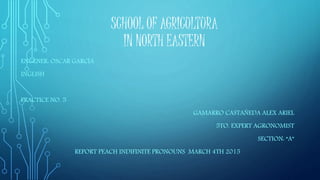 SCHOOL OF AGRICULTURA
IN NORTH EASTERN
ENGENER: OSCAR GARCÍA
INGLISH
PRACTICE NO. 5
GAMARRO CASTAÑEDA ALEX ARIEL
5TO. EXPERT AGRONOMIST
SECTION: “A”
REPORT PEACH INDIFINITE PRONOUNS MARCH 4TH 2015
 