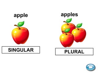apple apples
SINGULAR PLURAL
 