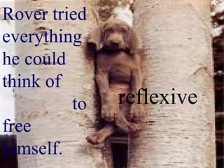 Rover tried everything he could think of  to free  himself. reflexive 