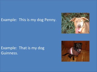 ! Example:  This is my dog Penny. Example:  That is my dog  Guinness. 
