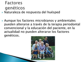  Naturaleza de respuesta del huésped
 Aunque los factores microbianos y ambientales
pueden alterarse a través de la terapia periodontal
convencional y la educación del paciente, en la
actualidad no pueden alterarse los factores
genéticos.
 