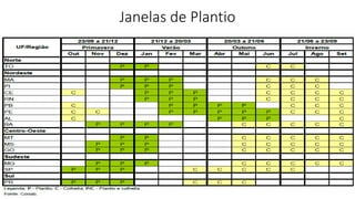 Janelas de Plantio
 